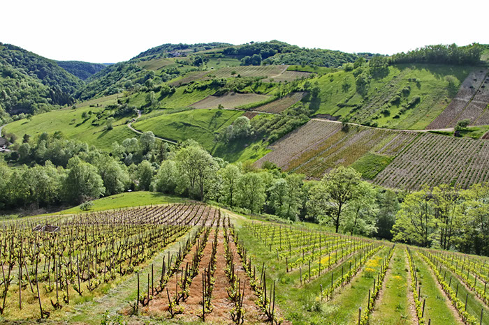 Rallye de l'Ain 2012, Paysages