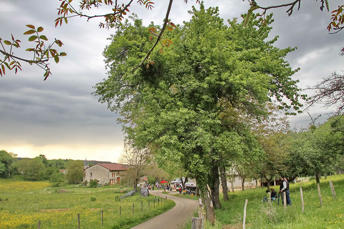 Rallye de l'Ain 2012