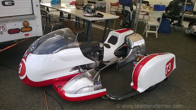 6_coyote-essaiBasset_1_Le_basset